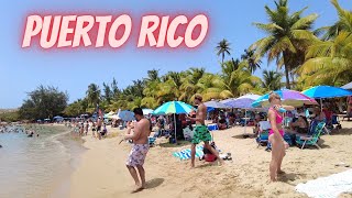 Beach Life in Puerto Rico is Crazy! Jobos Beach