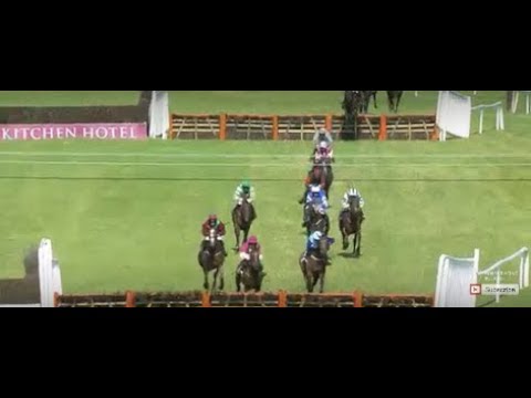 Racing from Wexford featuring the Brendan Cullimore Electric Novice Schase | 6th July 2018