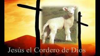 cordero santo. marcos barrientos