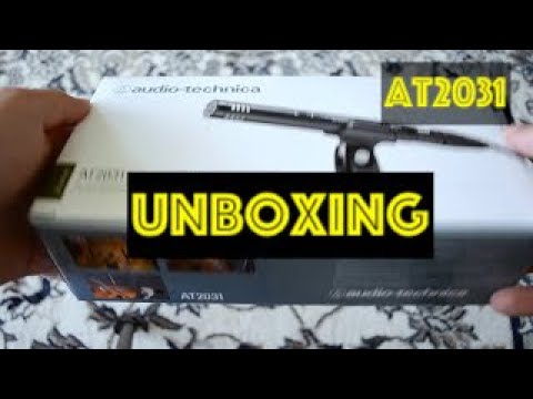 Audio Technica AT2031 Kardioidinis kondensatoriaus mikrofonas, video
