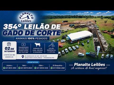 02/09/2026 354º Leilão Gado de Corte em Paranaíba -MS Planalto Leilões