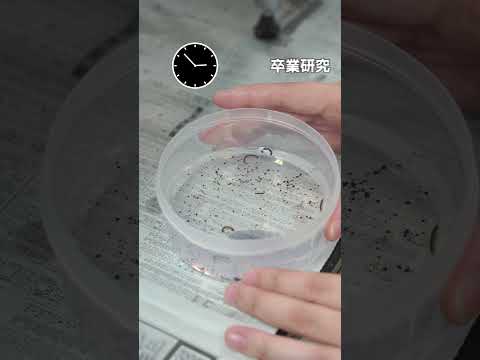 2025年START！生命環境学部のぞき見👀✨:理系学生の１日に密着してみました👩‍🔬