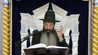 הרב נתנאל אביסרור פרשת יתרו תשפ ו (בית הכנסת מוסאיוף) - התמונה מוצגת ישירות מתוך אתר האינטרנט יוטיוב. זכויות היוצרים בתמונה שייכות ליוצרה. קישור קרדיט למקור התוכן נמצא בתוך דף הסרטון