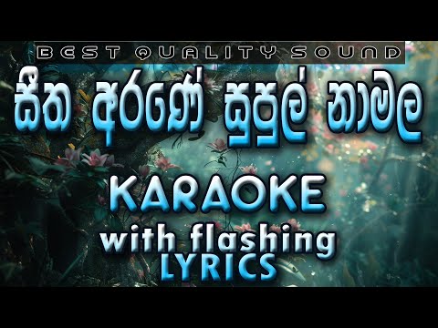 Seetha Arane Karaoke with Lyrics (Without Voice)