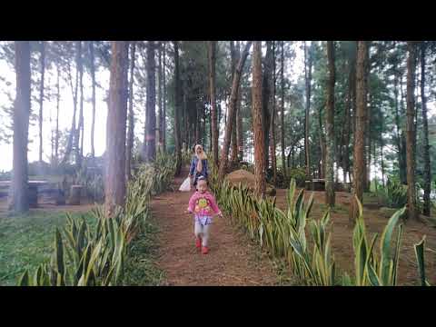 Jalan2 ke Red Flower