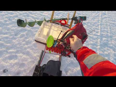 Pilkillä Anttoorassa