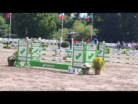 Vaiana, Oldenburger mare, 2013, Verdi x Diarado