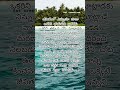 Motivational Telugu Quotes Life Quotes Viral Ytshorts Shortsfeed Telugu