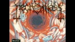 Necromass - Vibration of Burning Splendour