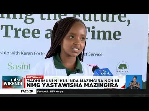 Kampeni ya kupanda miti bilioni 15 yapata nguvu mpya kutoka kwa vijana