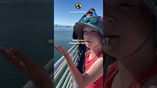 Adventure Life in a small ship cruise