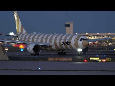 Condor A330NEO hebt über Startbahn West in den Nachthimmel | 4K Planespotting Frankfurt