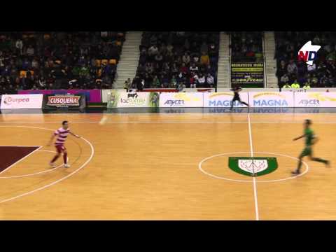 Resumen Magna Navarra Xota 5, Palma Fútsal 2 (20-02-15)