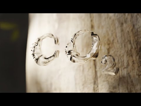 Die Luft - der Wirtschaftswald als Kohlenstoffspeicher