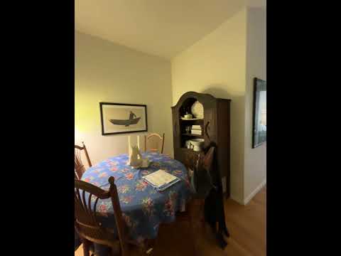 video 1