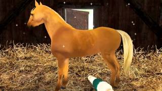 Planet Horse Free video game to download for PC and Mac