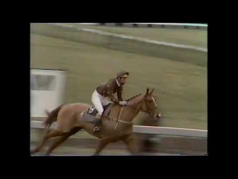 1985 Christie Foxhunters Chase Cheltenham