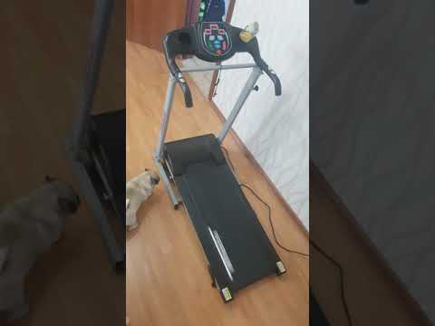 Дорожка беговая электрическая Ferrum TM 1370D