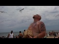 Seagull Grabs French Fries From Mouth