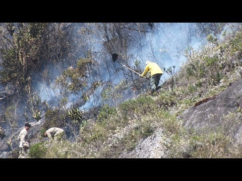 Queimadas se alastram por Nova Friburgo e cidades vizinhas