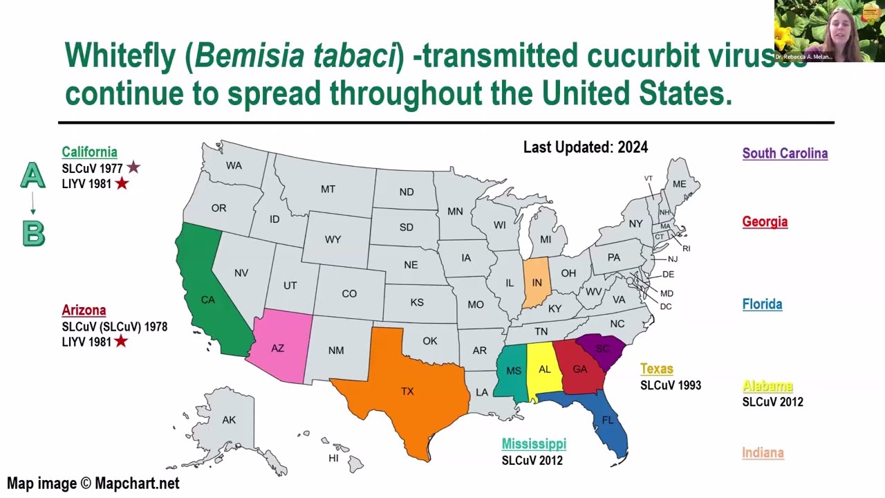 About the Emerging Viruses in Cucurbits Working Group