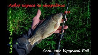 Ловится ли карась на спиннинг