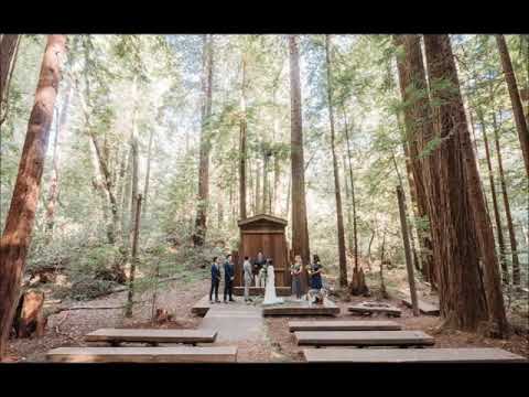 Harvey Malaiholo Cover, Terima Kasih Cinta