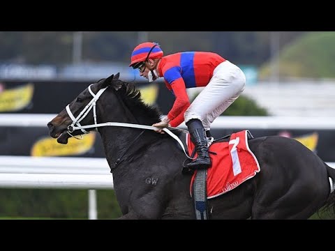 CHAMPION MARE VERRY ELLEEGANT WINS HER 9TH GROUP 1 | 2021 GEORGE MAIN STAKES (G1)