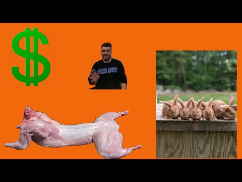YouTube video about: Does walmart sell rabbit meat?
