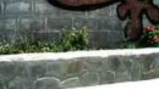 Toots & the Maytals with Terry Hall