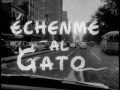 RESORTES ECHENME AL GATO Y PIPORRO