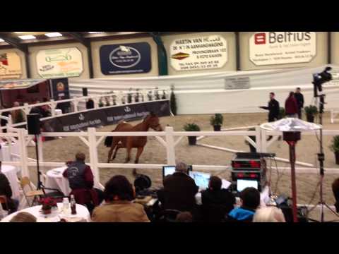 Malakeh van de Maltahoeve