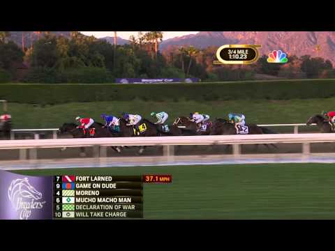 2013 Breeders' Cup Classic - Mucho Macho Man