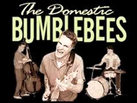 the domestic bumblebees  good time blues