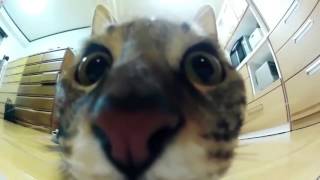 Лучшие приколы на YOUTUBE #1