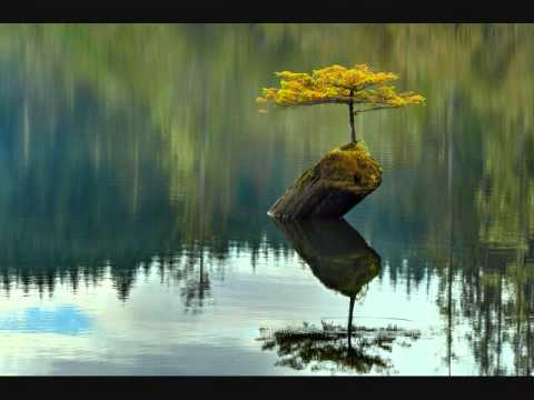 Thumbnail for Always video