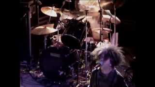 MELVINS Live @ Stubb's BBQ Austin, TX 2001 Roman Bird Dog (part 8)