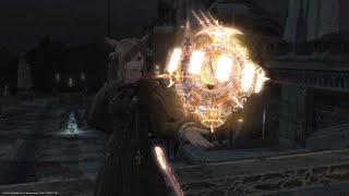 【FF14】絶竜詩戦争　消化　【学者】