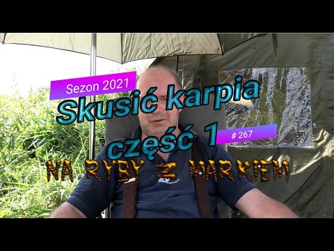 Na ryby z Markiem # 267 Skusić karpia. Część 1