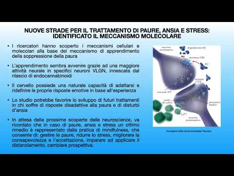 Una buona notizia per chi soffre di paure, ansia e stress