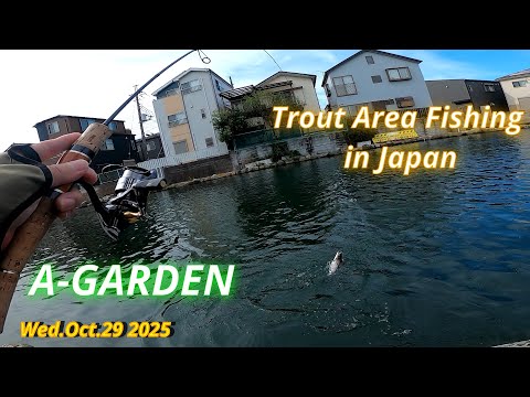 A-GARDEN Oct.29 2025 / Trout Area Fishing in Japan