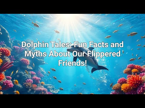 Les dauphins : intelligents, joueurs et pleins de surprises ! | Les dauphins : intelligents, joueurs et surprenants !
