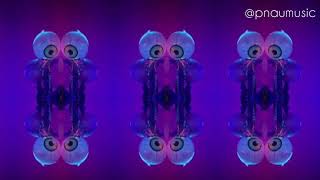 PNAU - Chameleon (Official)