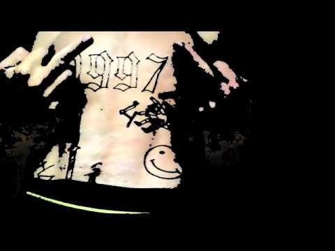 zdechly osa - KICI KICI