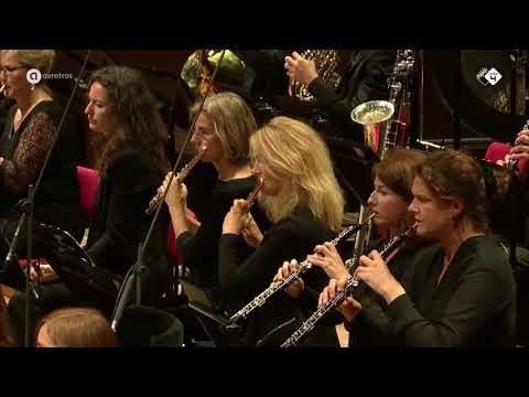 Mussorgsky Night on Bald Mountain   Radio Filharmonisch Orkest   Live concert HD