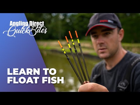 Learn To Float Fish - Coarse Fishing Quickbite