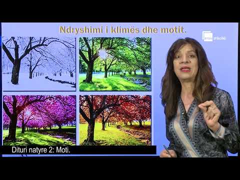 Moti | Dituri Natyre 2