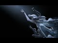 Shakedown At Night Anyma Layton Giordani Remix Extended Mix