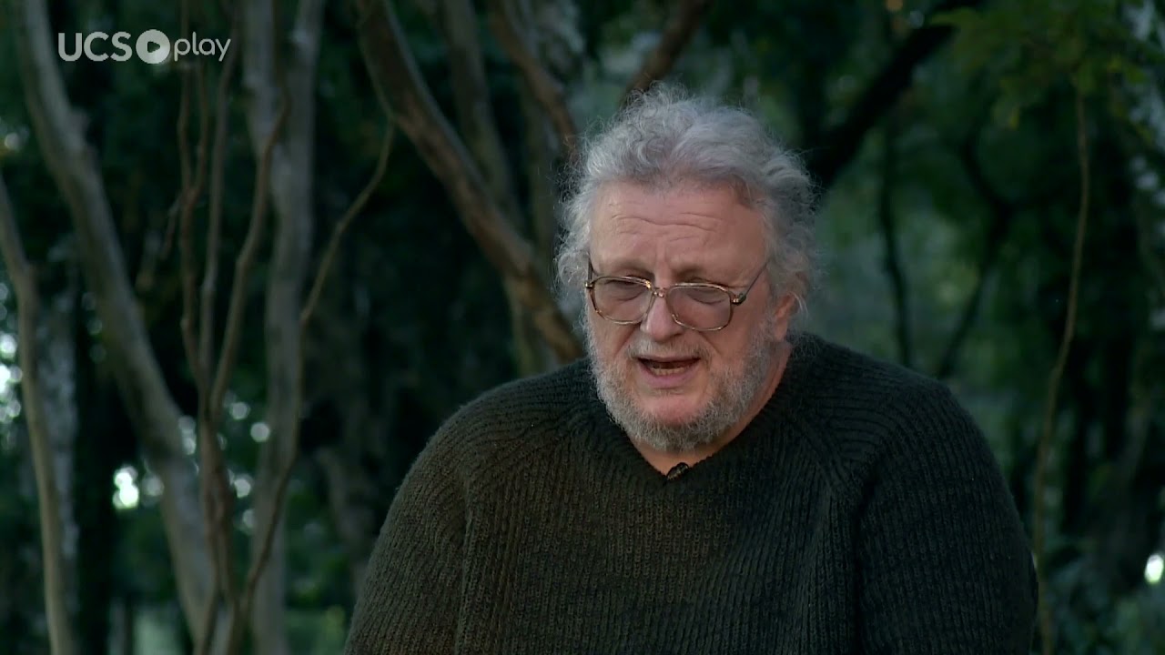 Filosofia Clínica: uma terapia alternativa