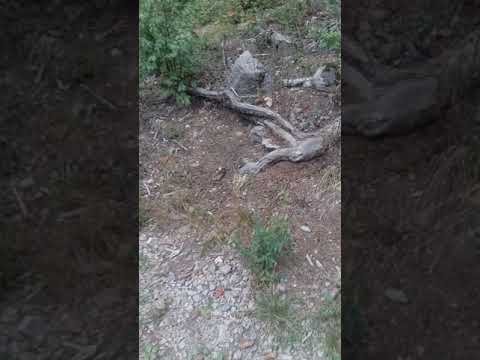 Cel mai grozav challenge montan de la Mofeta si inapoi part 2